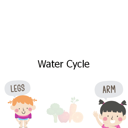 Water Cycle